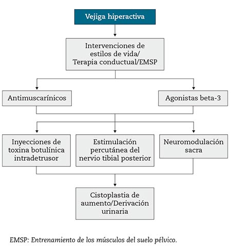 Figura 2 – Algoritmo actual de tratamiento de la vejiga hiperactiva.