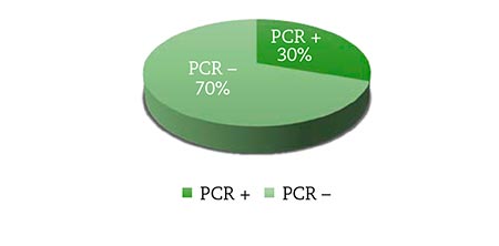 Figura 2 – Usuarios positivos y negativos según PCR. Elaboración propia. 