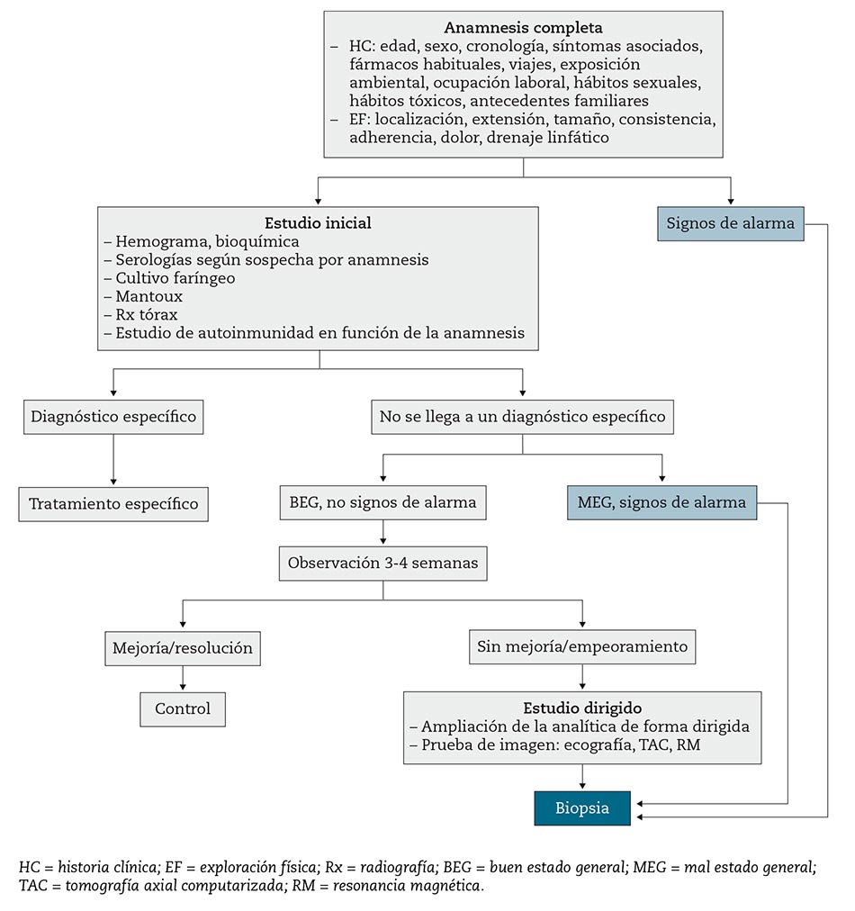 Figura 2 – Algoritmo diagnóstico de linfadenopatías. Elaboración propia a partir de las referencias bibliográficas1-3.