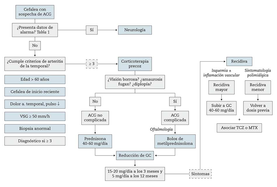 Figura 1 – Guía rápida para el diagnóstico y manejo de la arteritis de células gigantes.