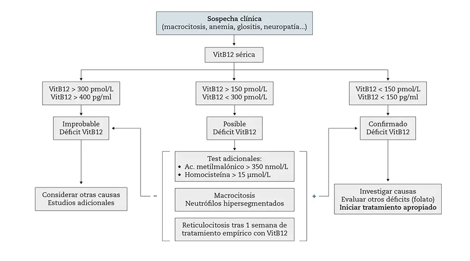 Figura 2 – Datos de laboratorio y diagnóstico de déficit de vitamina B12.